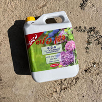 דשן-פלוס-נוזלי-6-2-6 בקבוק 5 ליטר