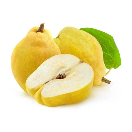 חבוש