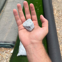 חלוקי נחל אפור שחורבינוניים שתיים