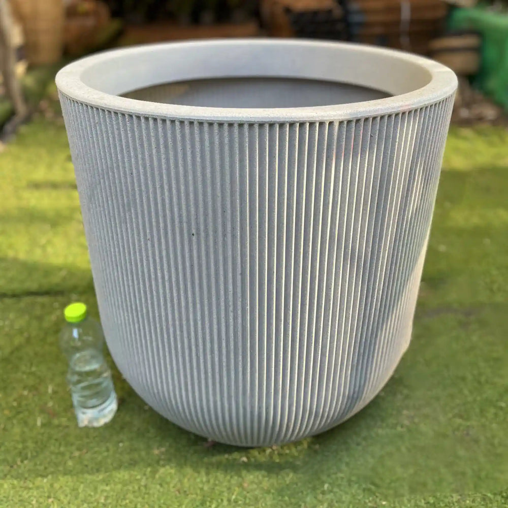 כד פסים עולם הפרח גדול webp