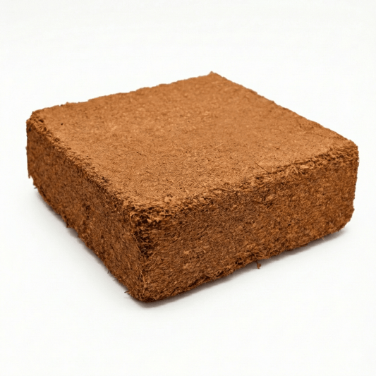 קוביית קוקוס 5 ק"ג