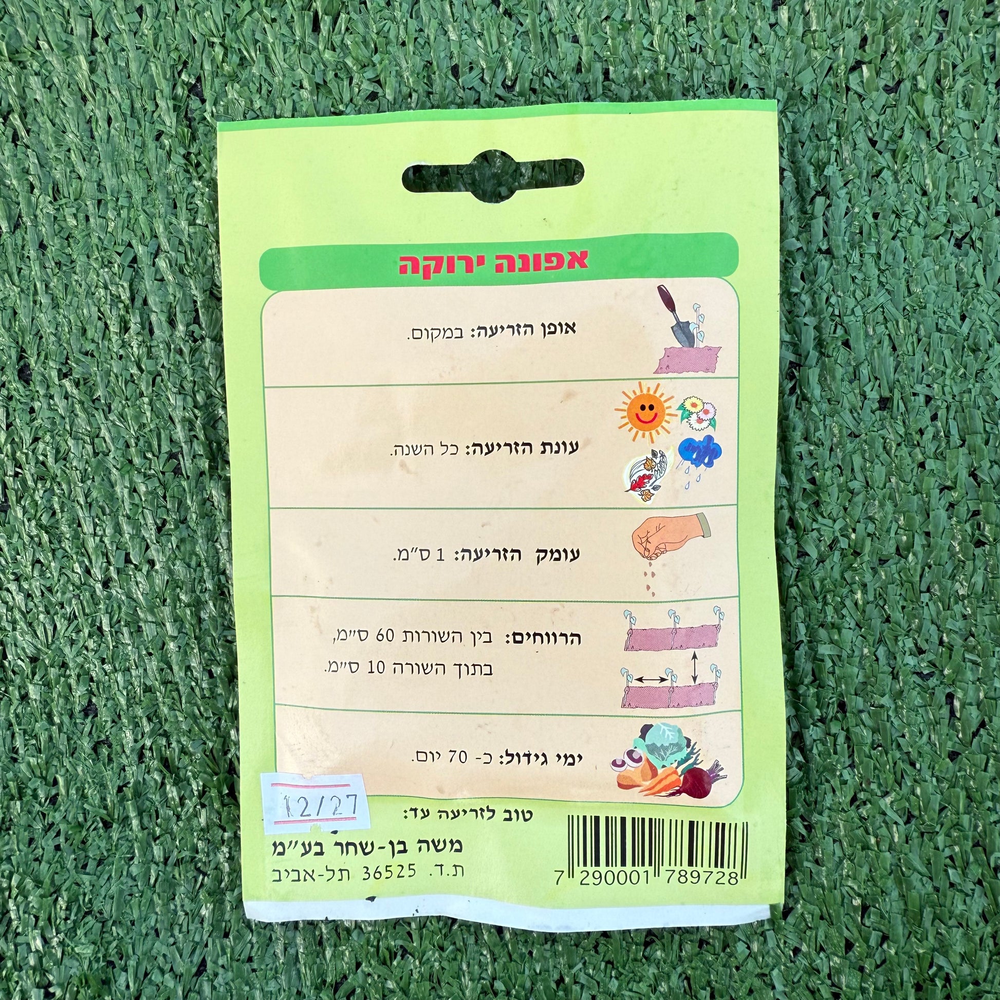 הוראות איך ומתי זורעים זרעיי אפונה ירוקה