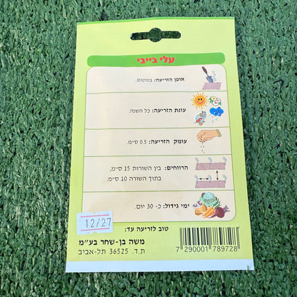 זרעים של עלי בייבי