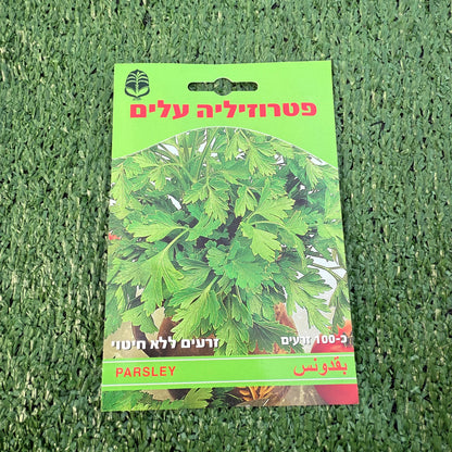חפיסת זרעים של צמח פטרוזיליה עלים 