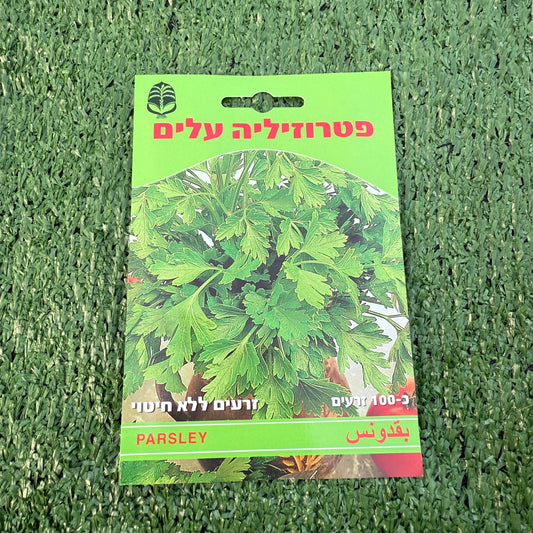 חפיסת זרעים של צמח פטרוזיליה עלים 