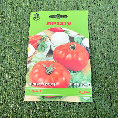 זרעים של עגבניות