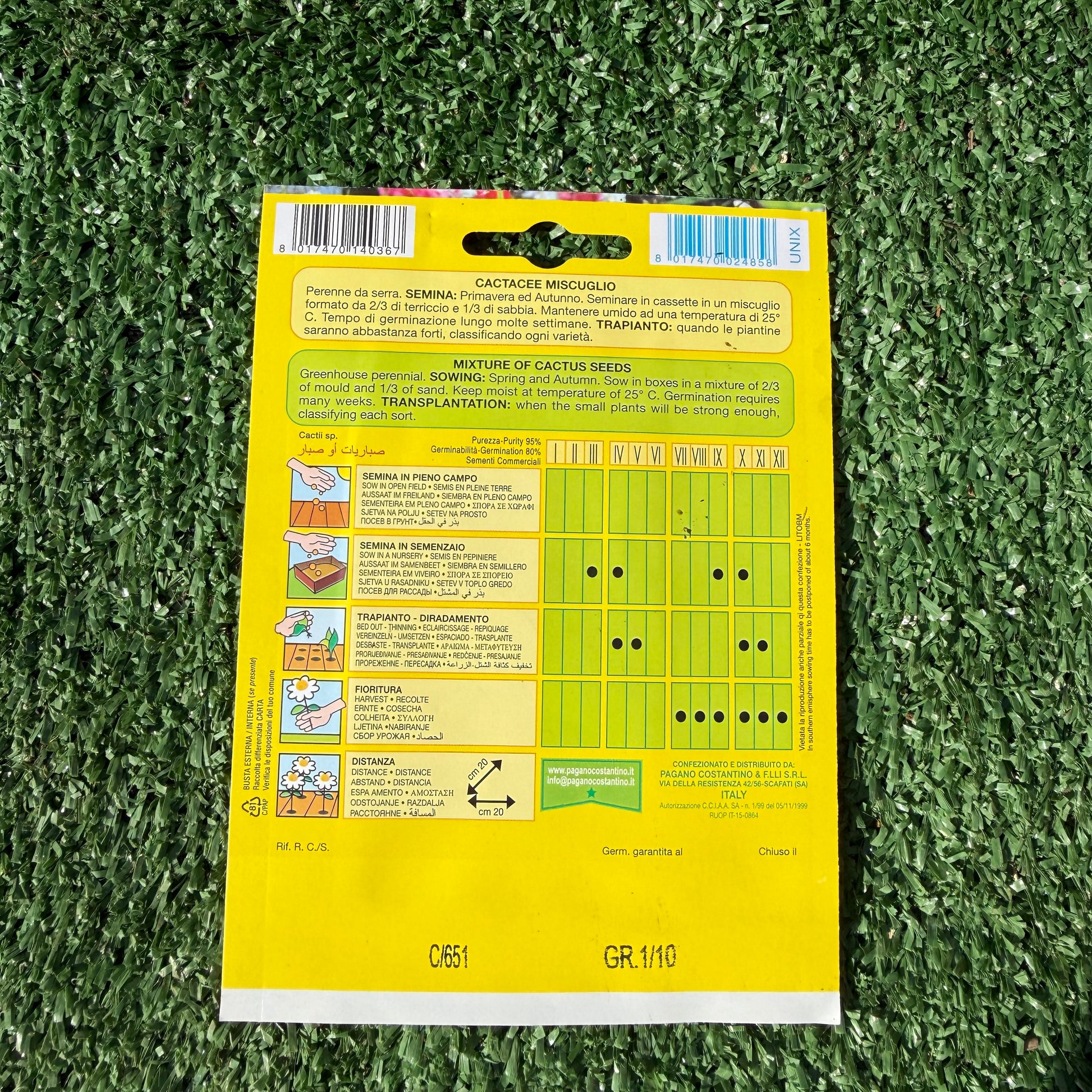 הוראות של זרעי קקטוסים