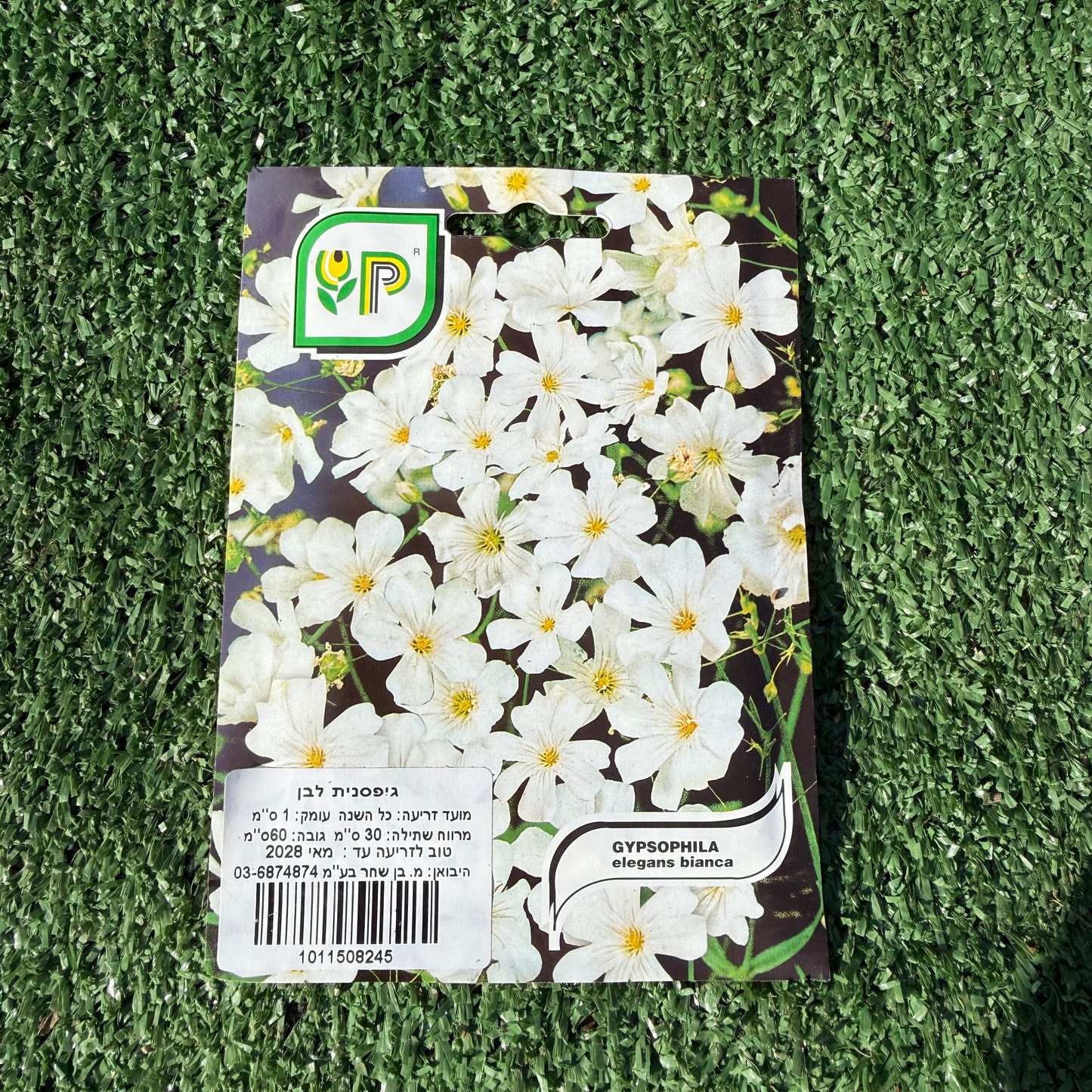 חפיסה של זרעי גיפסנית לבנה