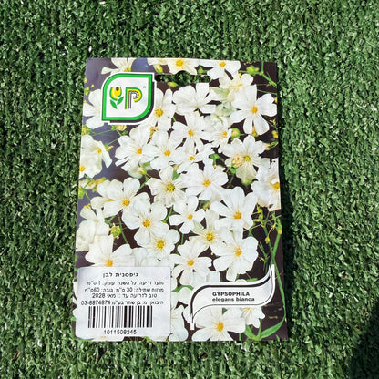 חפיסה של זרעי גיפסנית לבנה