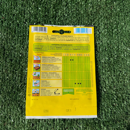 הוראות שתילה וגידול זרעי גיבסנית לבנה