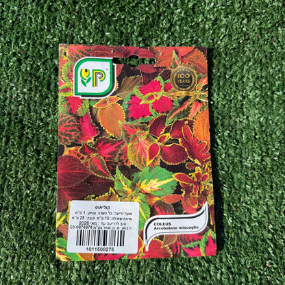 חפיסת זרעים של צמח קולאוס