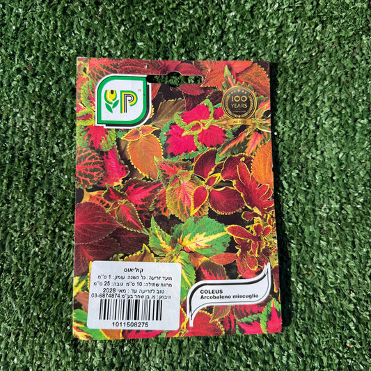 חפיסת זרעים של צמח קולאוס