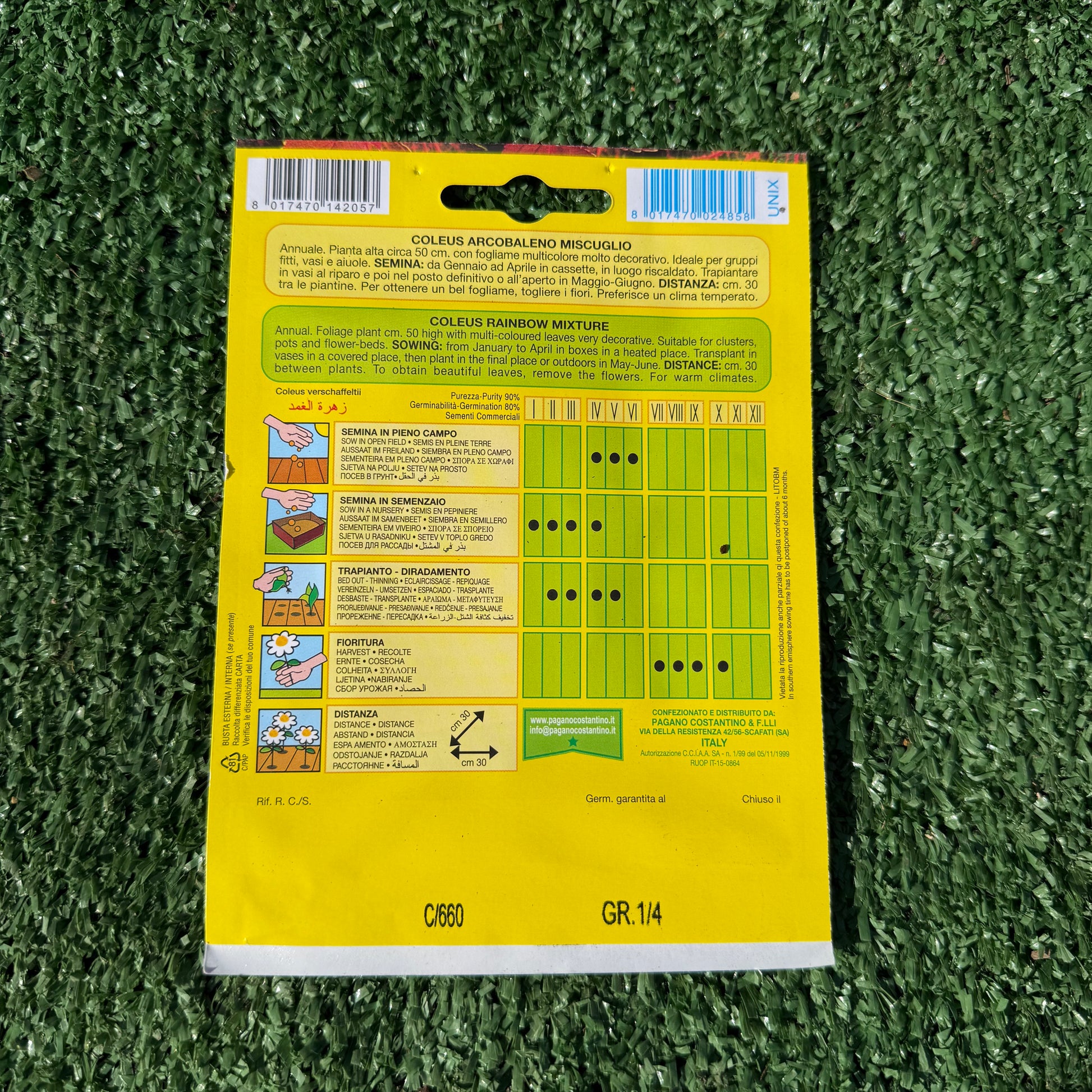 הוראות זריעה וגידול זרעי קולאוס