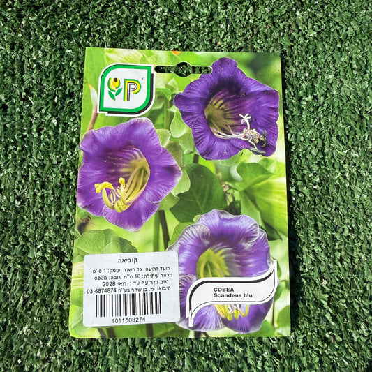 חפיסת זרעים של צמח קוביאה