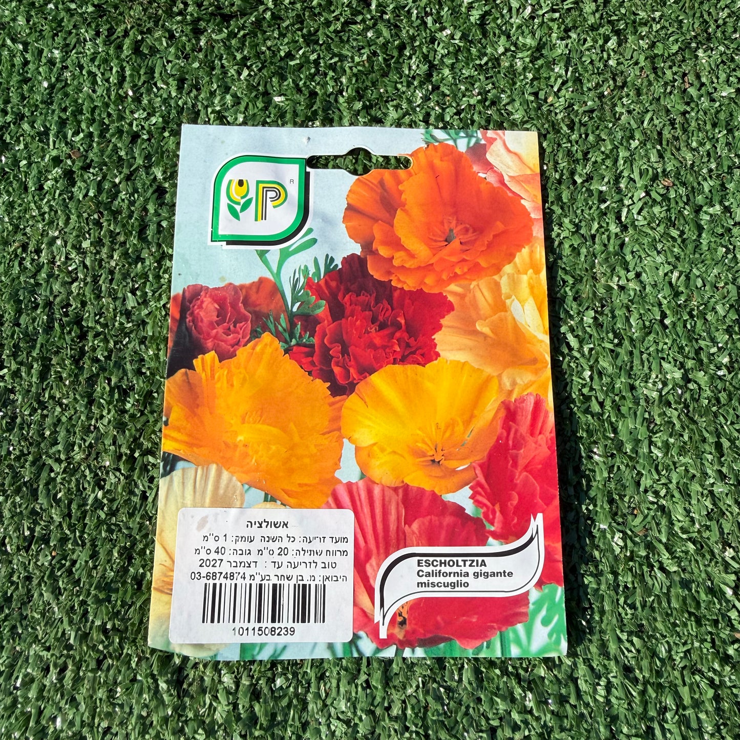 חפיסת זרעים של פרח אשולציה