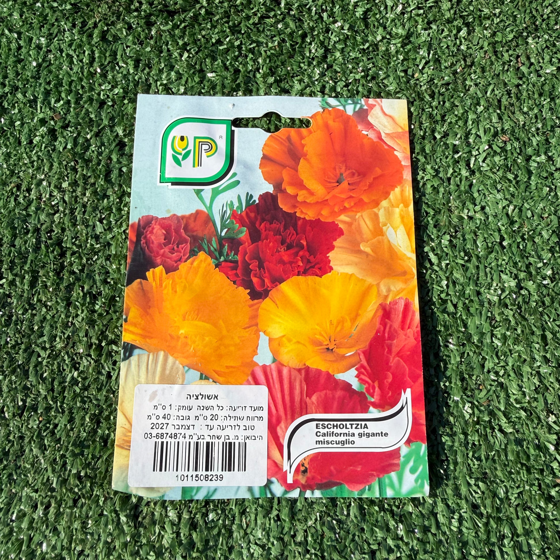 חפיסת זרעים של פרח אשולציה