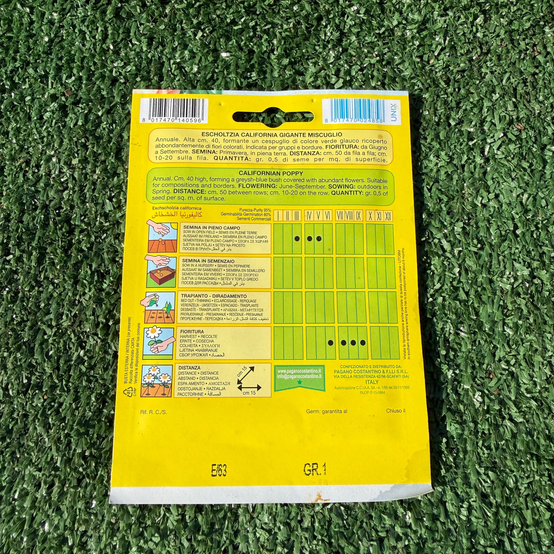 הוראות בגב החפיסת זרעים של פרח אשולציה