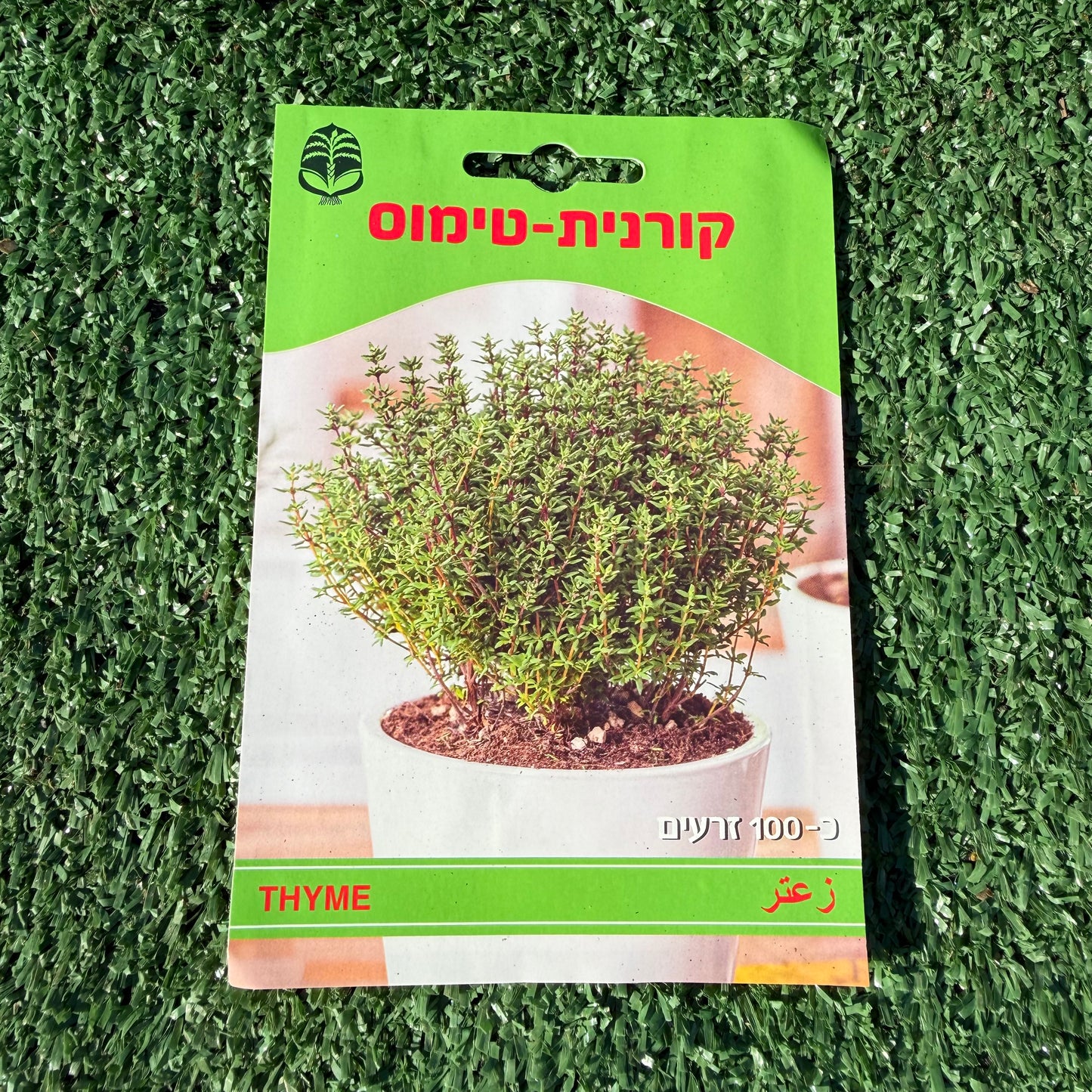 חפיסת זרעים של צמח תימין