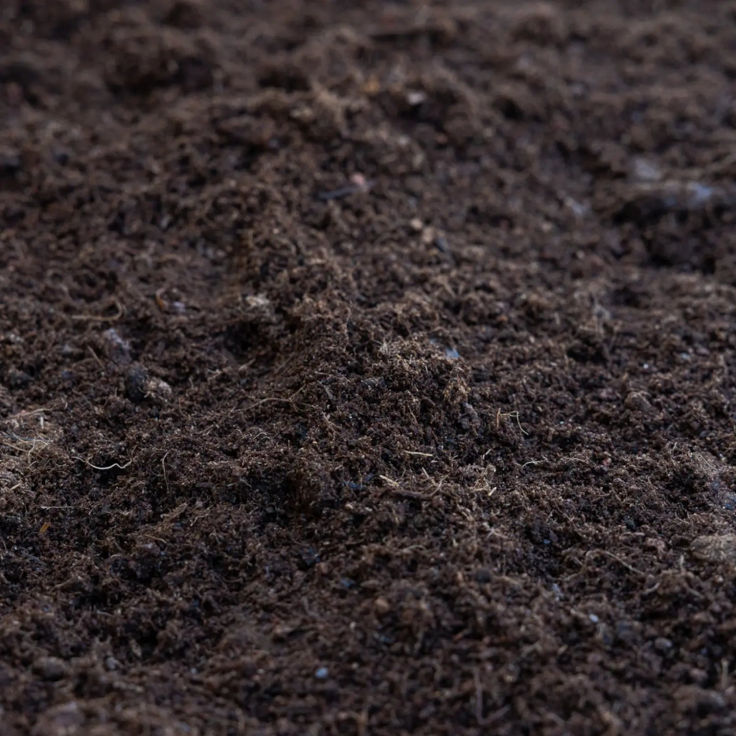 אדמה של תערובת אורגנית בלבד