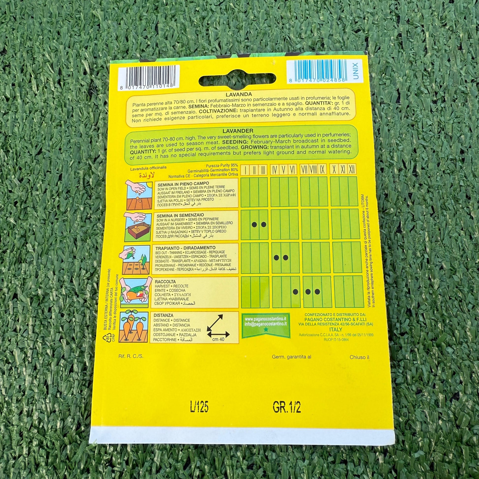 הוראות של חפיסת זרעי לבדנר ברקע ירוק של דשא סינטטי