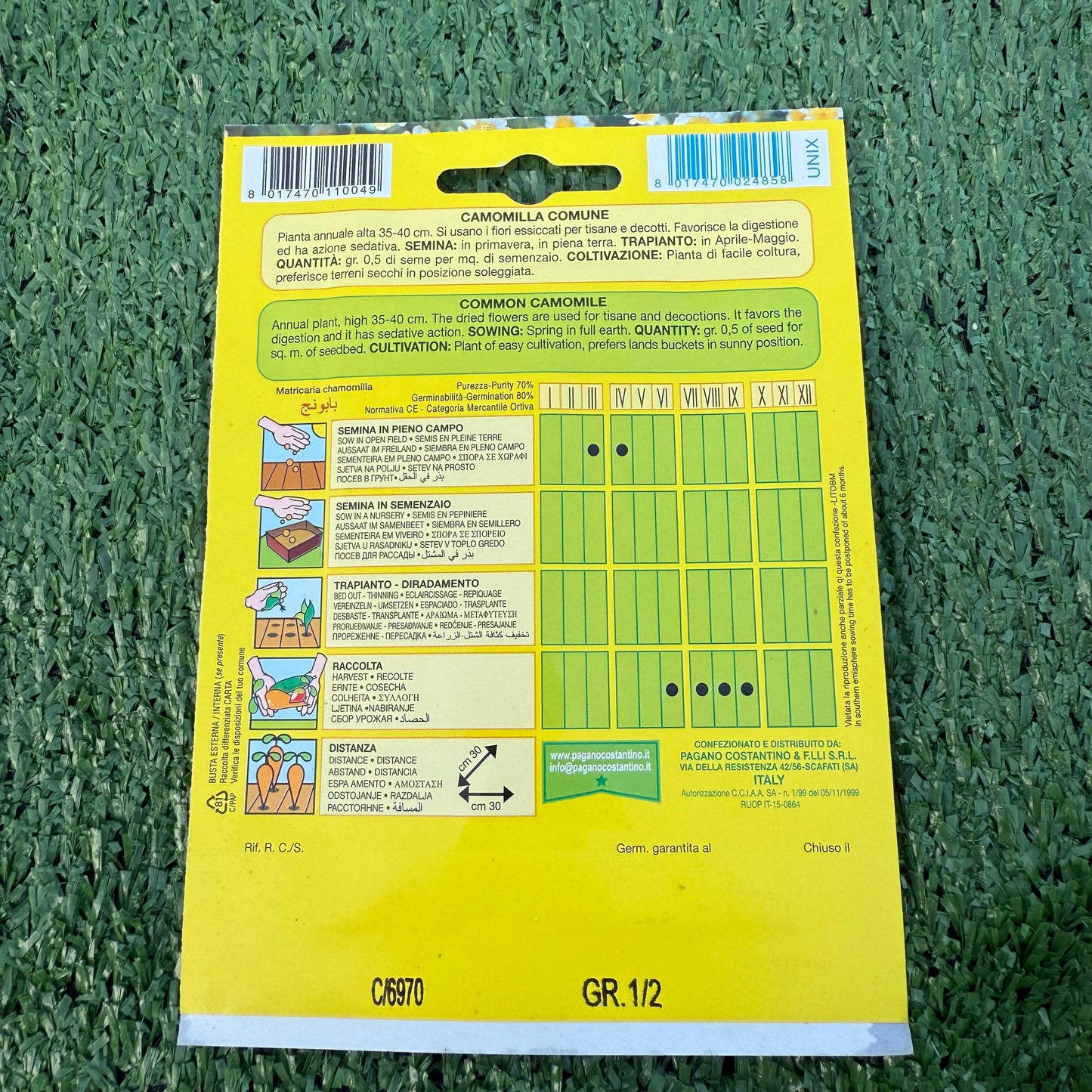  Camomilla seeds packet on a green grass background