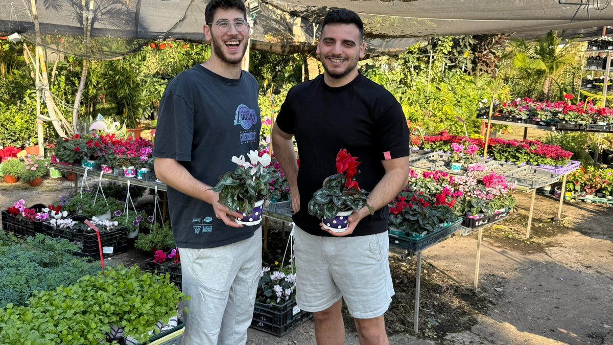 שני מקימי דקו גרדן מחזיקים עציצי רקפת במשתלה בהרצליה