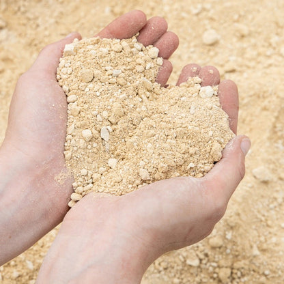 ידיים מחזיקות סקופ של מצע לדשא סינטטי ברקע של חצץ וסומסום