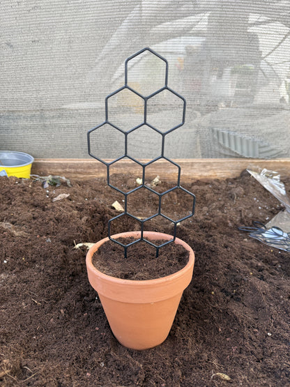 גדר פלסטיק שחורה למטפסים בדוגמת כוורת, 30×13 ס״מ, בהדגמת נעיצה בעציץ – דקו גרדן