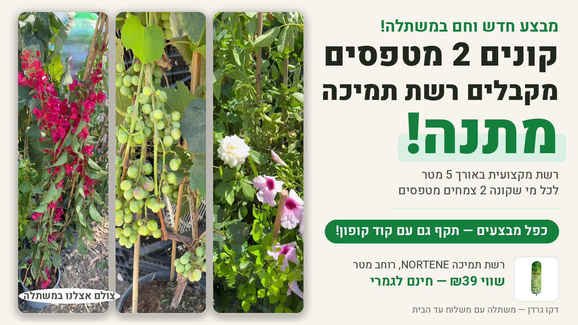 מבצע חדש! קונים 2 מטפסים ומקבלים רשת תמיכה למטפסים 5 מטר מתנה! בכפל מבצעים עם קוד קופון
