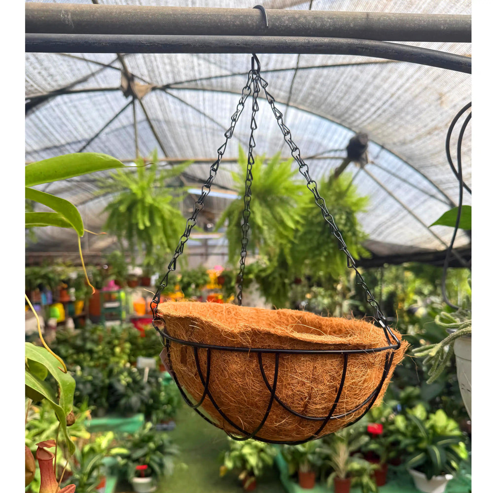 סל תלייה עם מצע שתילה של קוקוס שרשרת על רקע של צמחים .