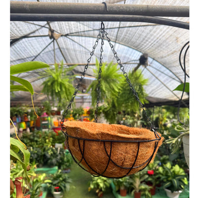 סלסלת קוקוס לתליה