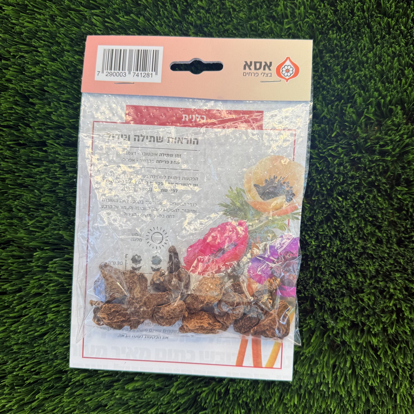 כלניות תערובת – 10 פקעות לשתילה, גב האריזה והוראות הגידול
