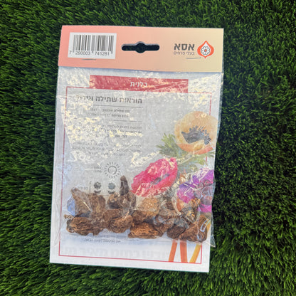 כלניות תערובת – 10 פקעות לשתילה, גב האריזה והוראות הגידול