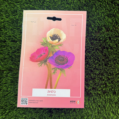 כלניות תערובת – מארז 10 פקעות לשתילה של אסא, חזית האריזה