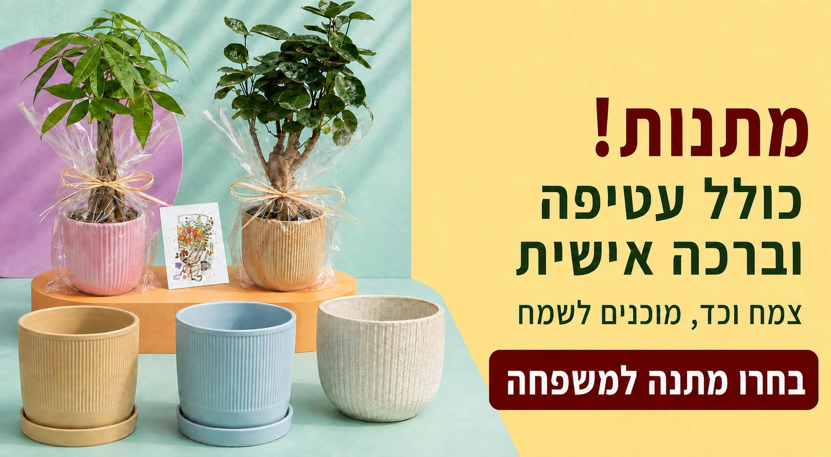 מתנות עם עטיפה וברכה אישית — צמחים עטופים בכדים, לצד כדים בגוני תכלת, חול ולבן מנוקד.