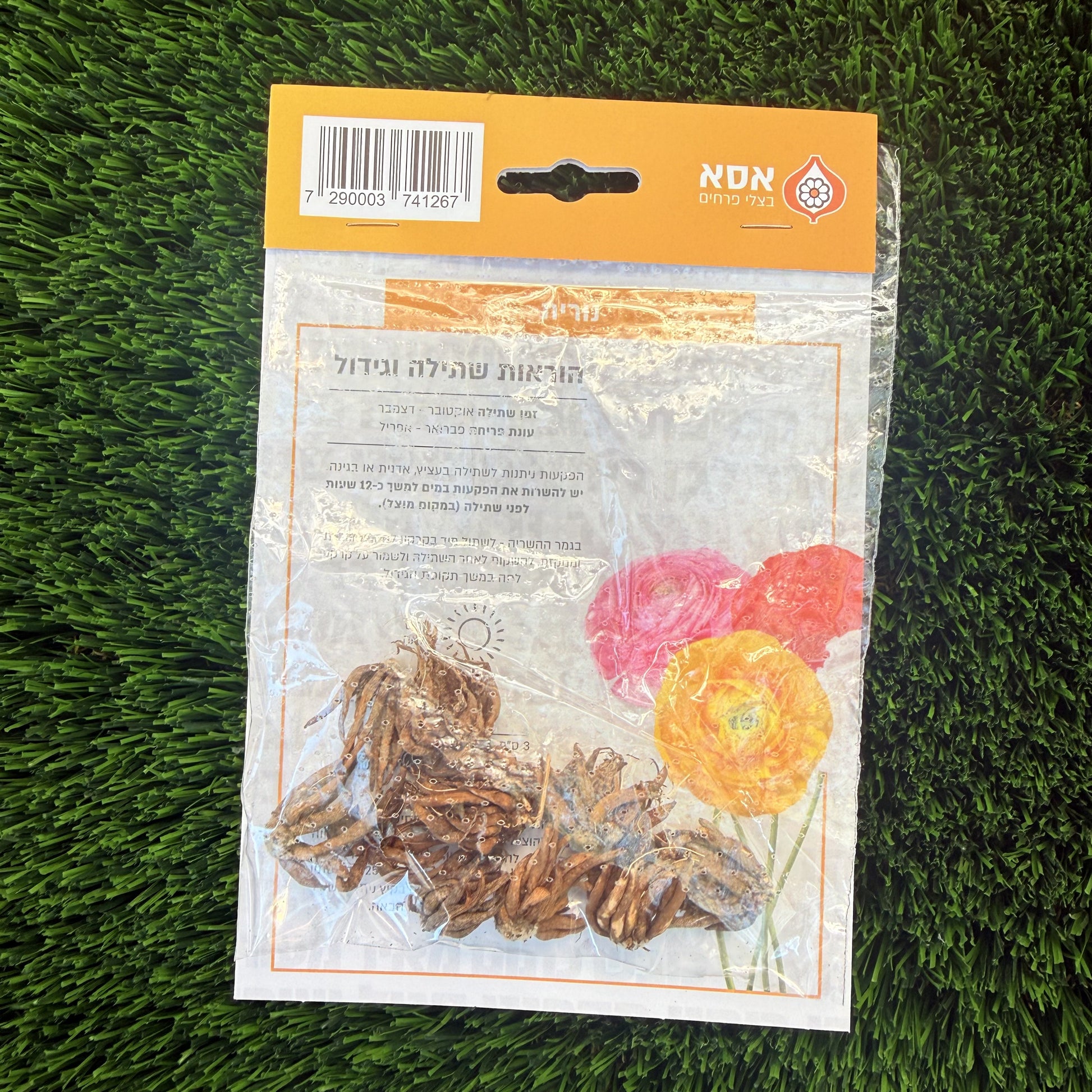 נוריות תערובת – 10 פקעות לשתילה, גב האריזה והוראות הגידול