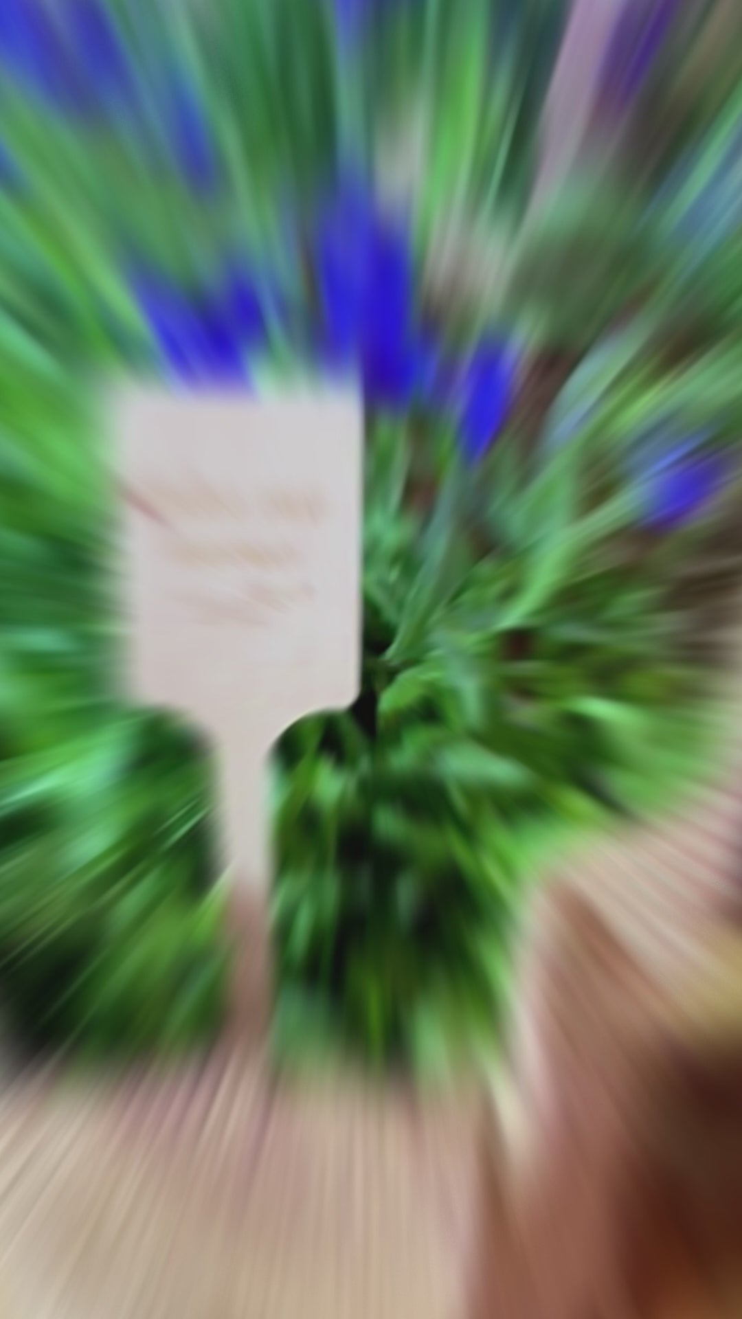 טוען וידאו: 