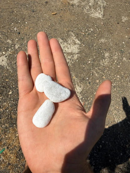 חלוקי נחל לבנים קטנים בגודל 2–3 ס״מ בכף יד להמחשת הגודל, דקו גרדן